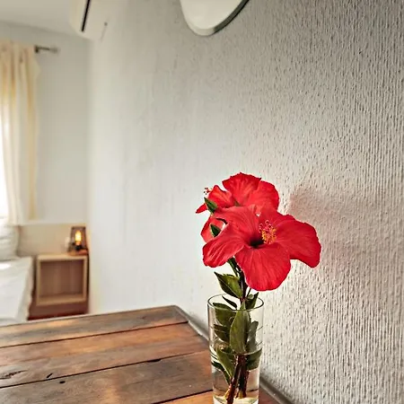 Sunny Appartement *