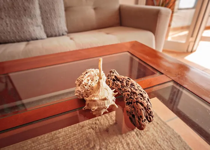 Sunny 埃斯特波纳