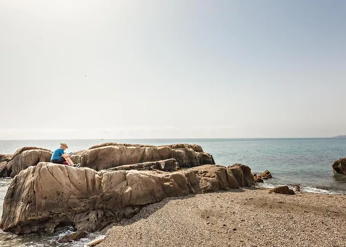 Sunny 埃斯特波纳