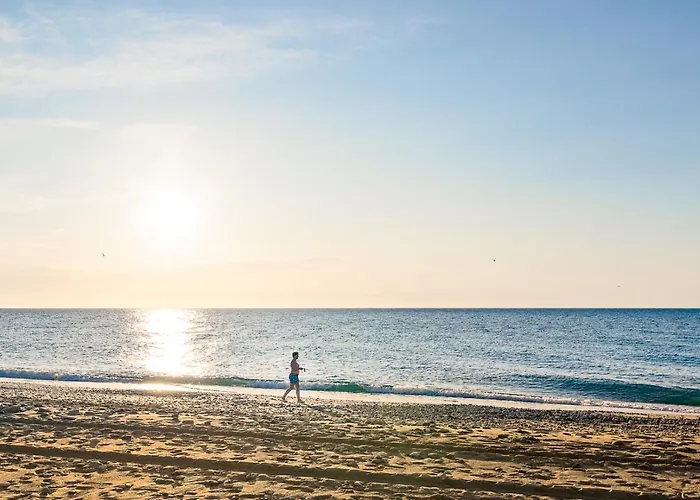 Sunny Lägenhet Estepona