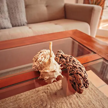 Sunny 에스테포나